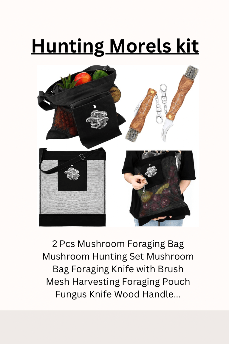 Morel hunting kit
