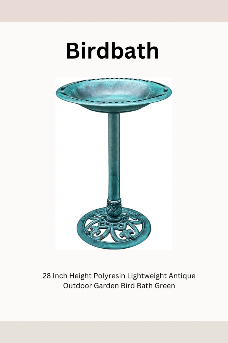 Birdbath