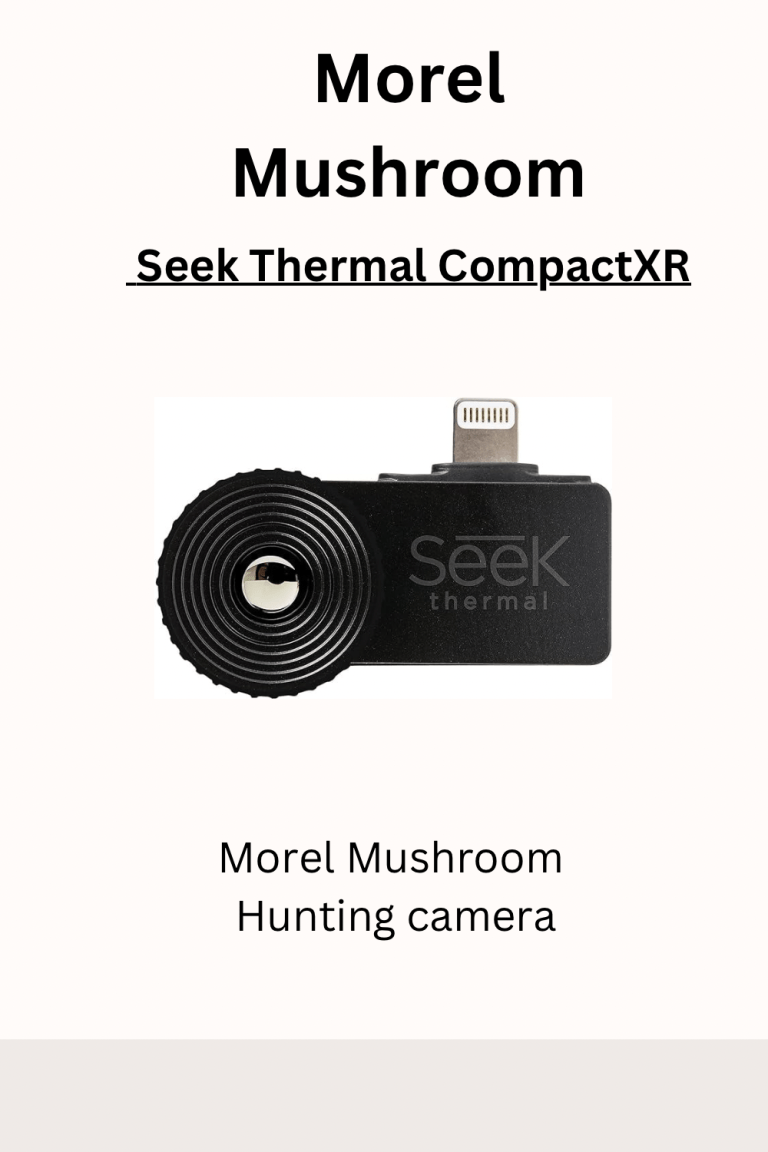 Thermal camera