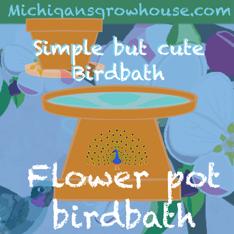 Birdbath