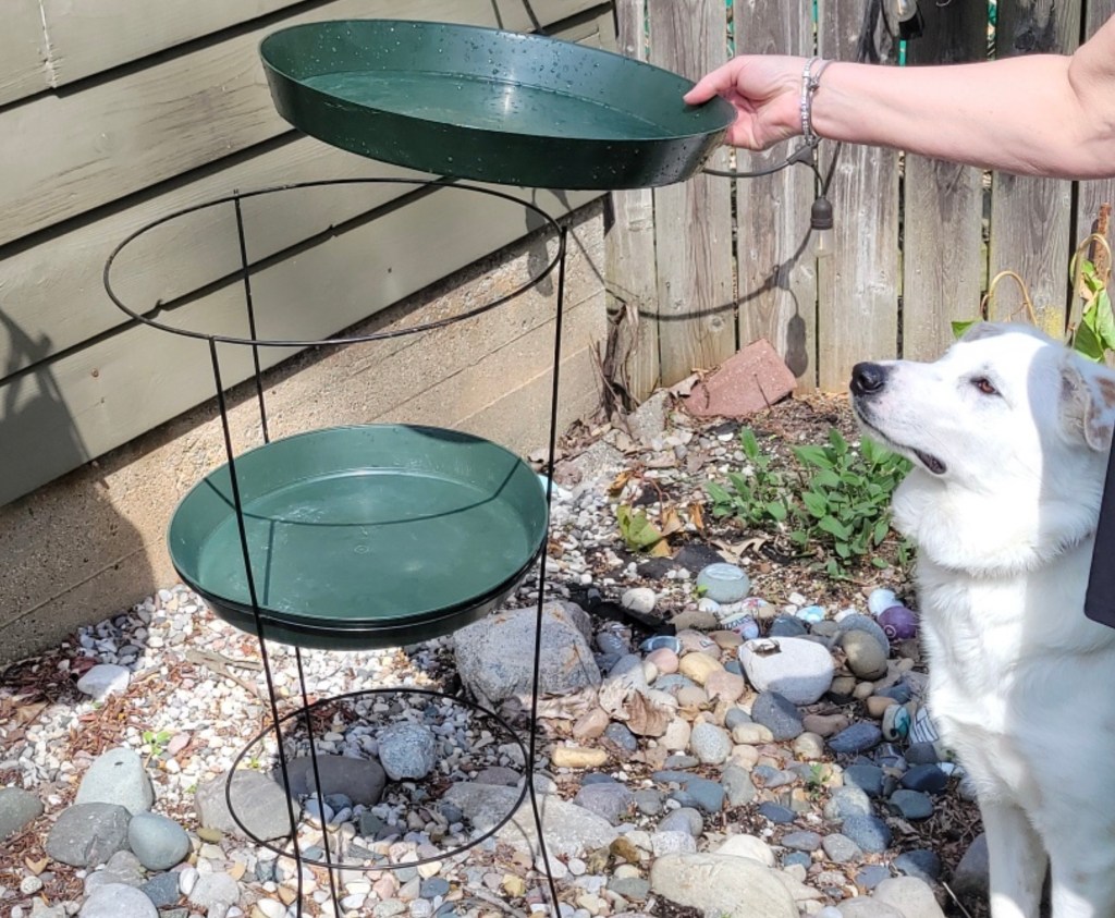 DIY Birdbath
