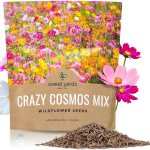 Cosmos mix