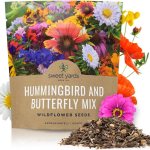 Hummingbird and butterfly mix